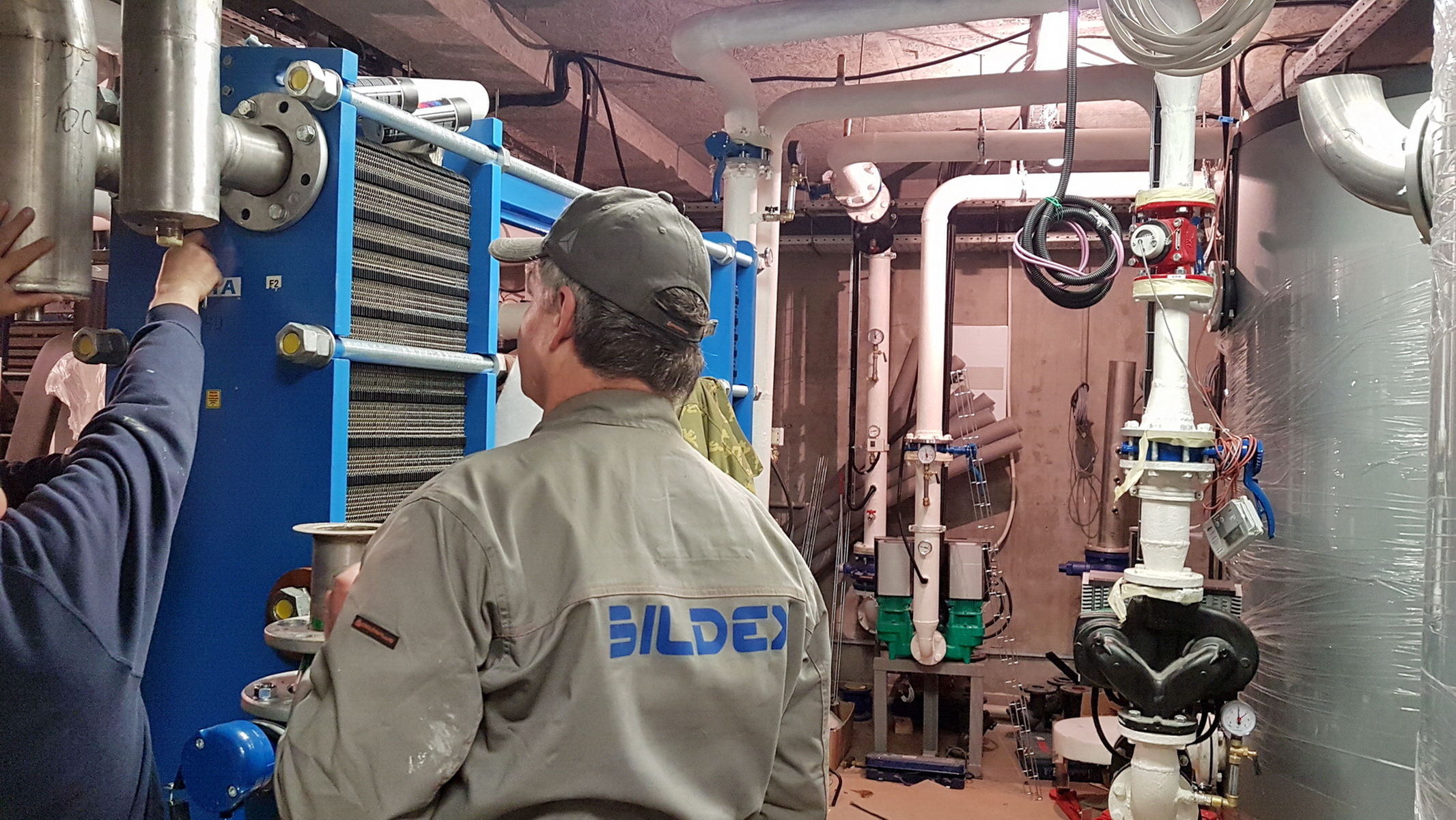bildex